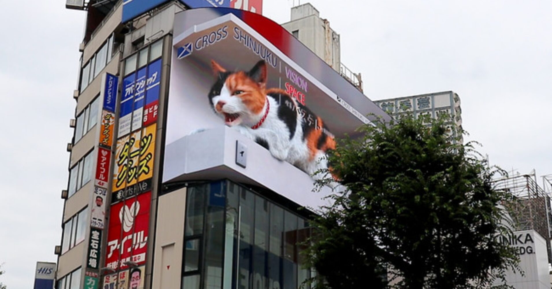 3Dサイネージ | ヤマトサイネージ 3Dサイネージ