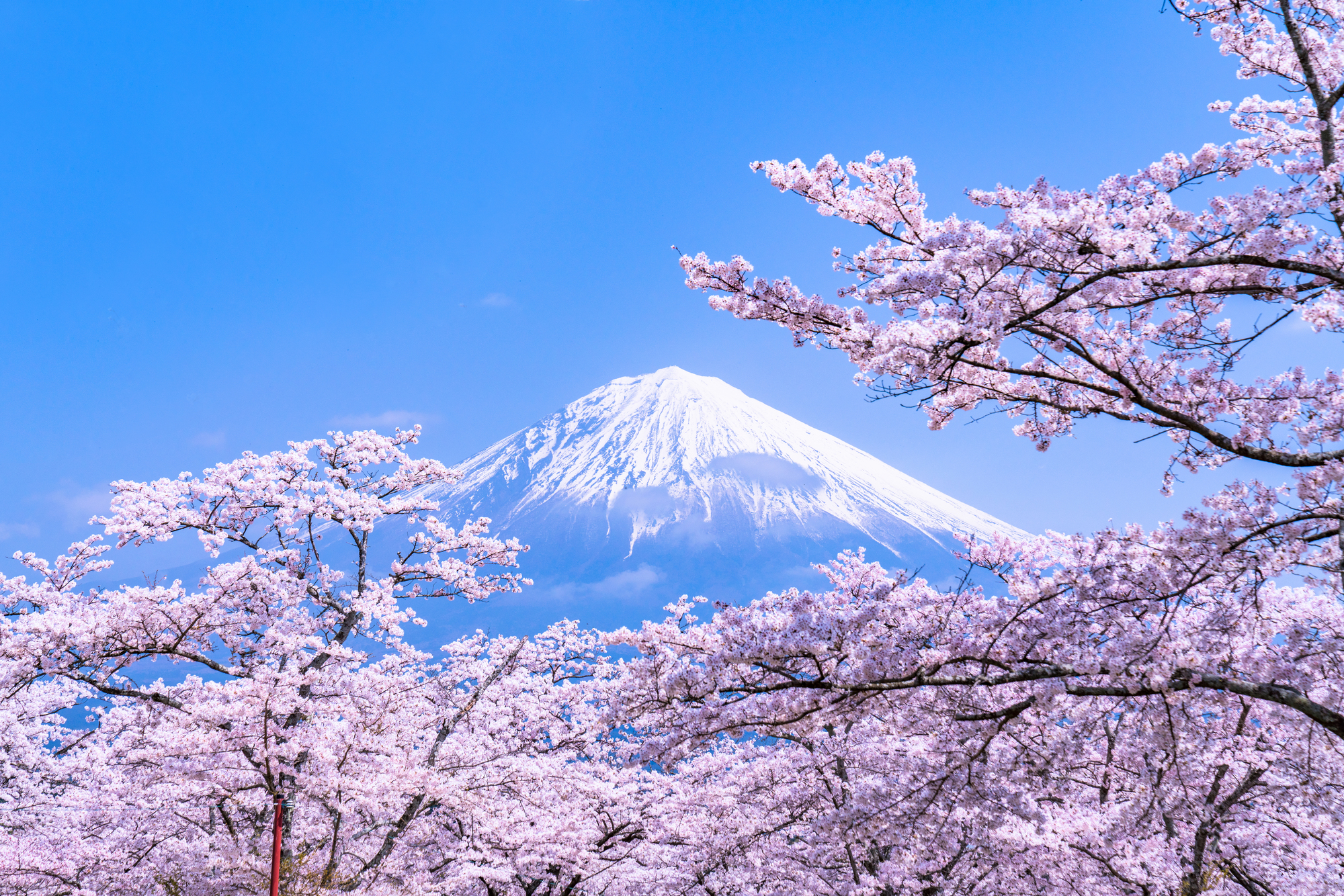 静岡県